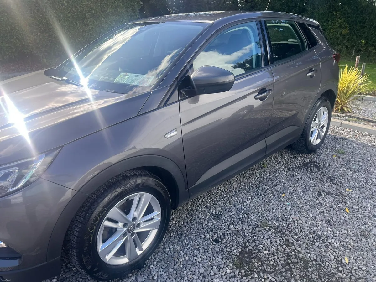 Opel Grandland X 2020 - Image 3