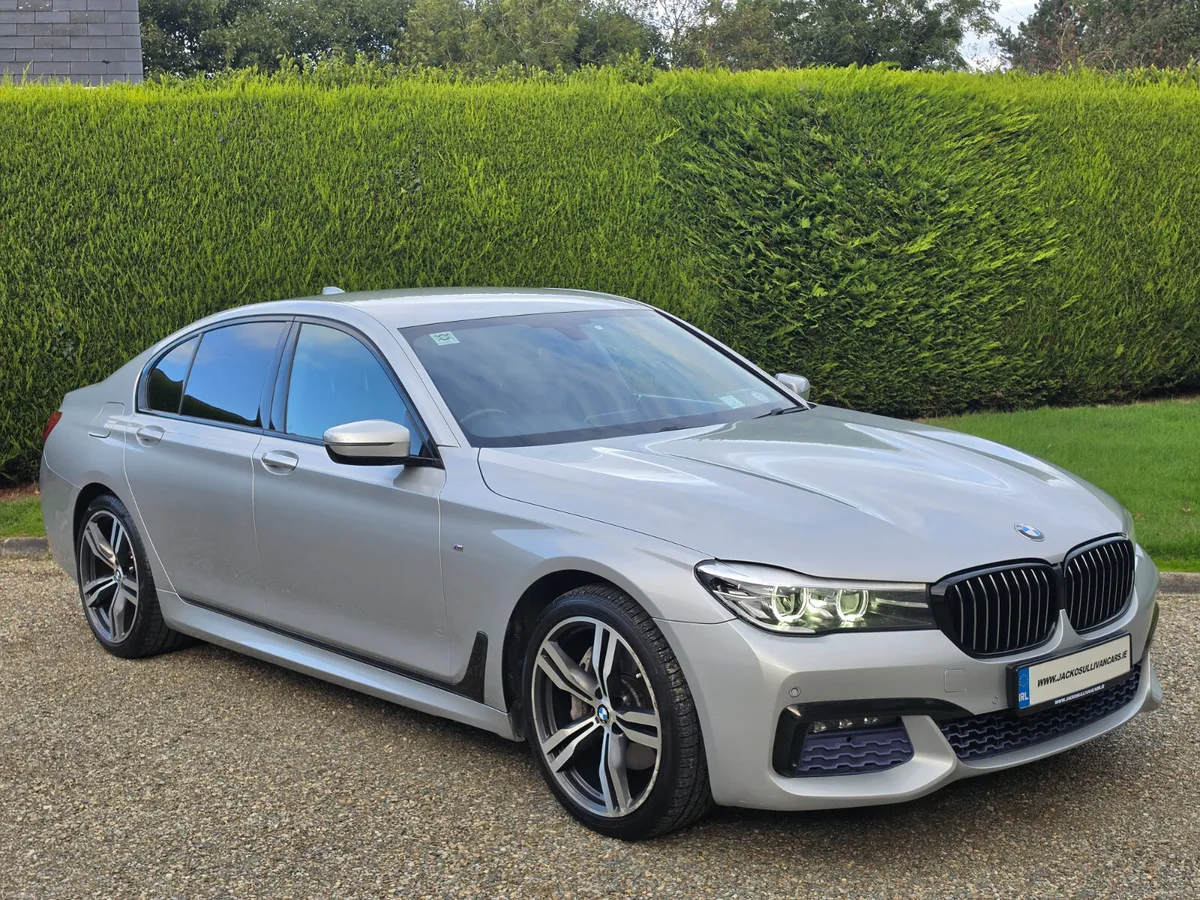 162'BMW 730D M-SPORT - Image 4