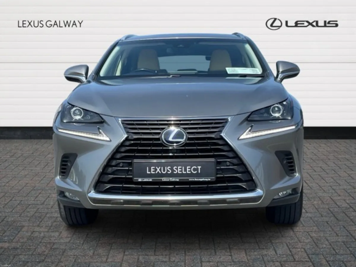 Lexus NX NX300H Fwd Executive Auto - Image 4