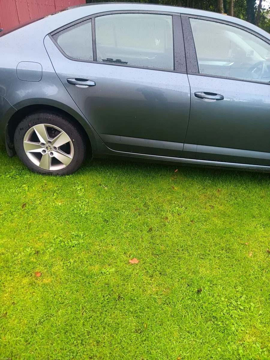 Skoda Octavia 2017 - Image 3