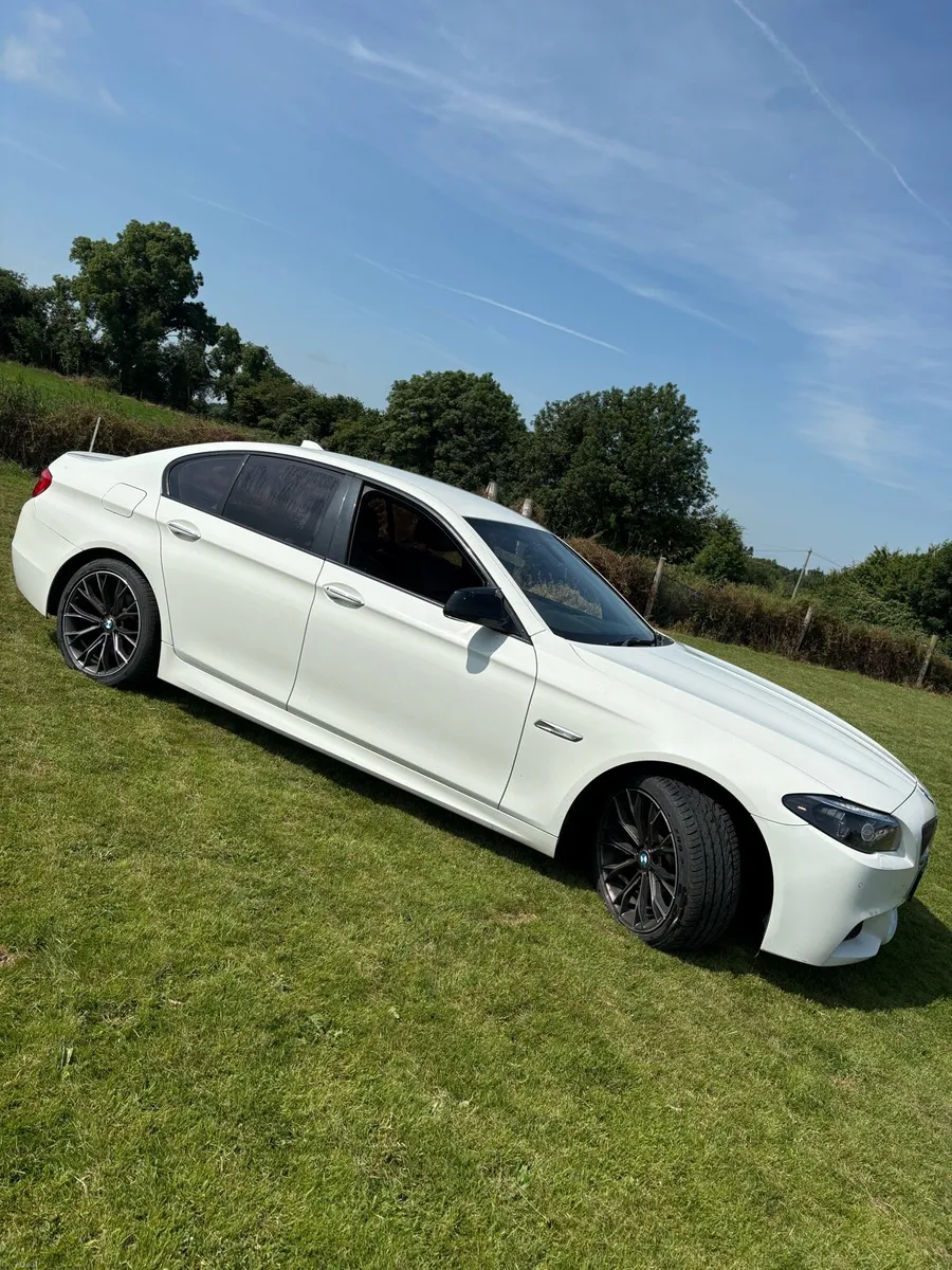 520d msport bmw - Image 2