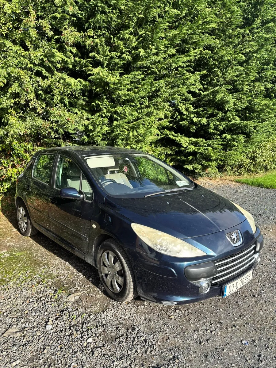 Peugeot 307 - Image 3