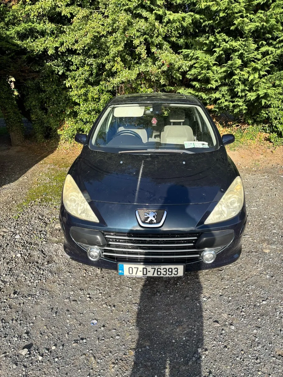 Peugeot 307 - Image 2