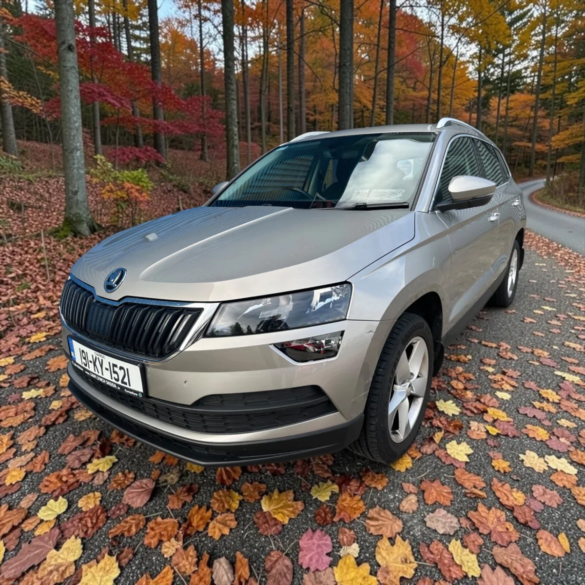 2019 Skoda Karoq 1.0 TSi Ambition - Image 1