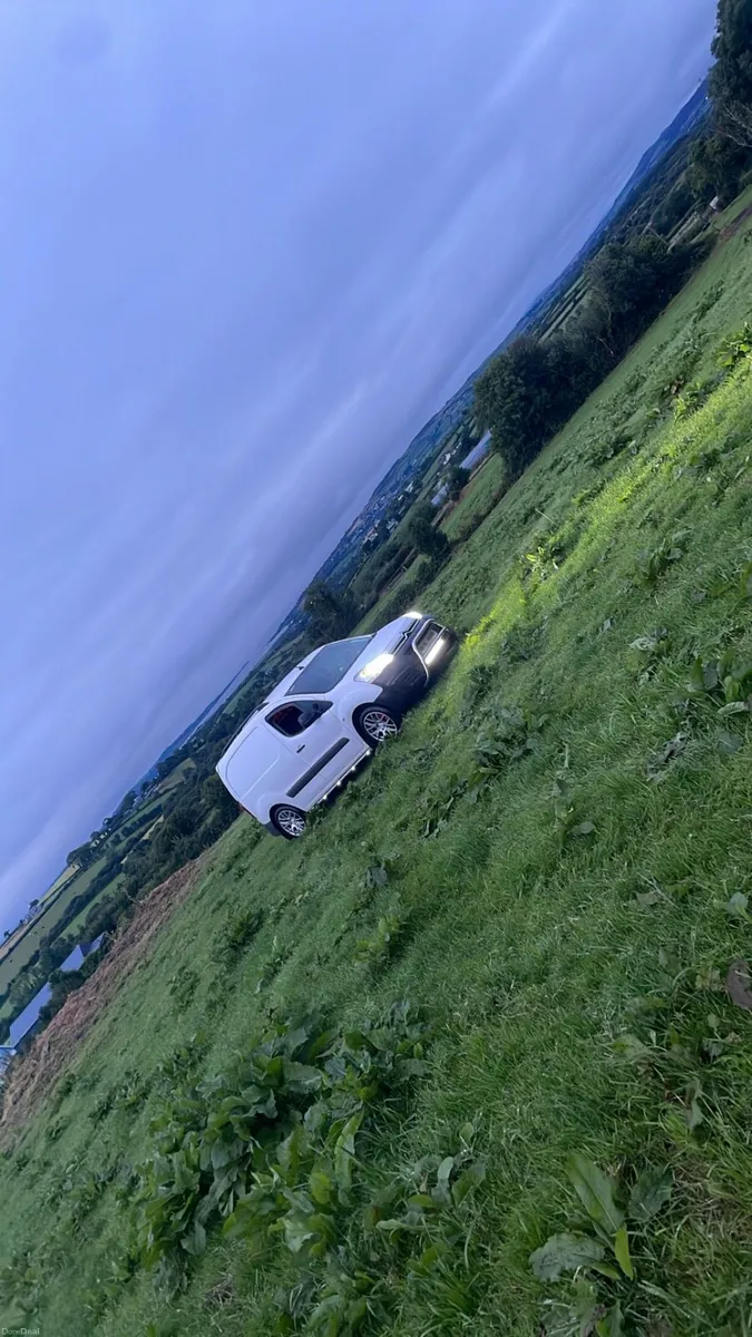 Berlingo van - Image 2