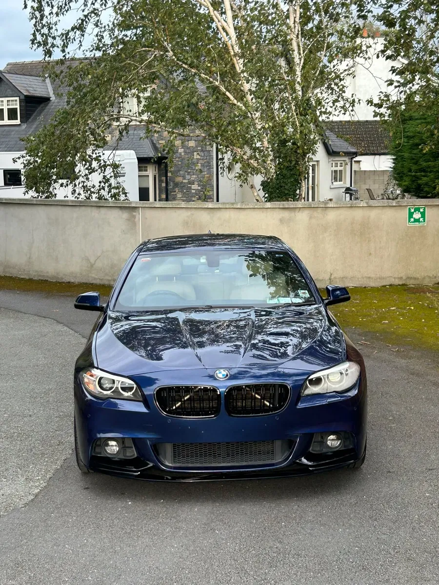 Bmw F10 520d Msport - Image 3