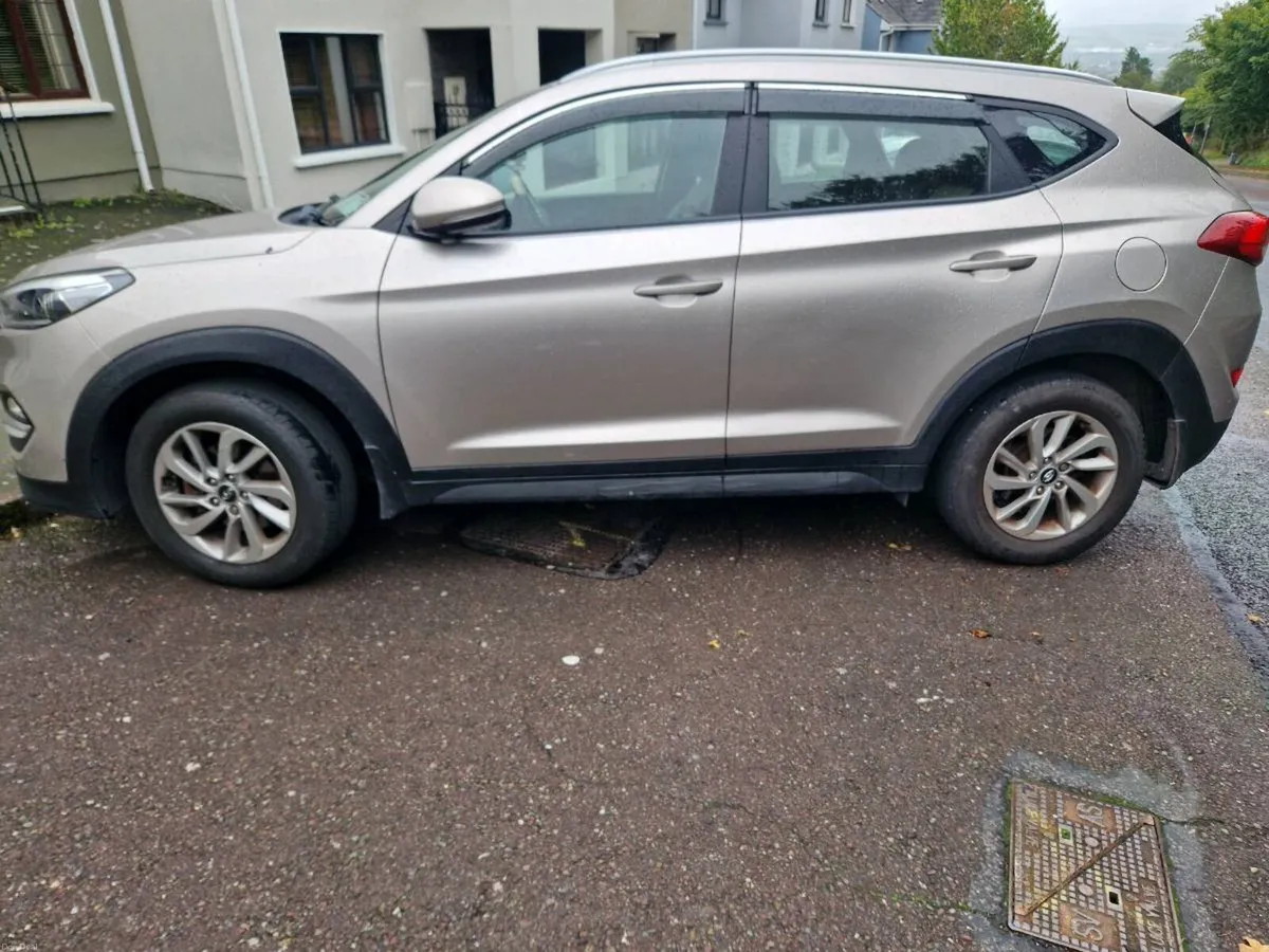 Image 2 of 7