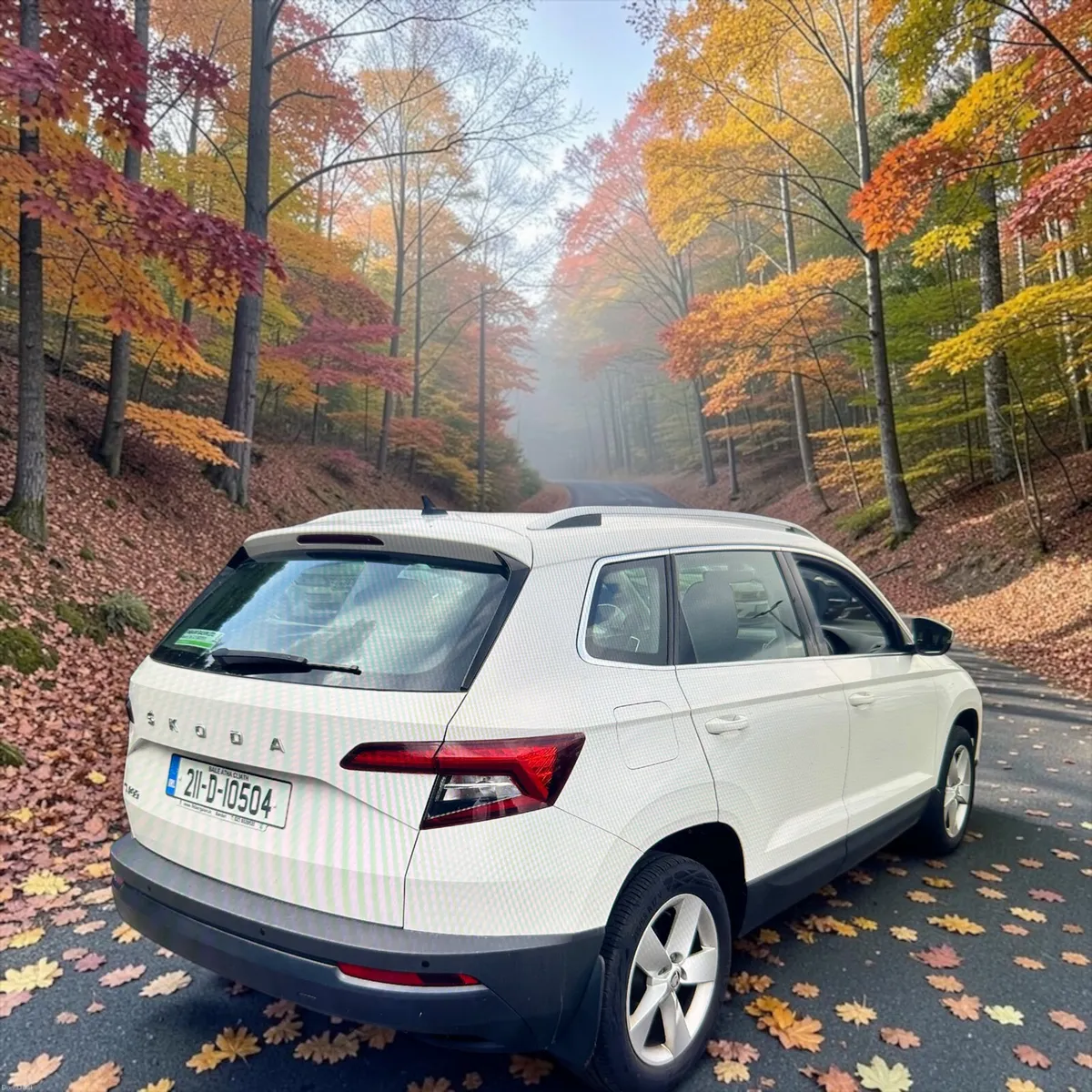 2021 Skoda Karoq 1.6 TDi Ambition Diesel Manual - Image 2