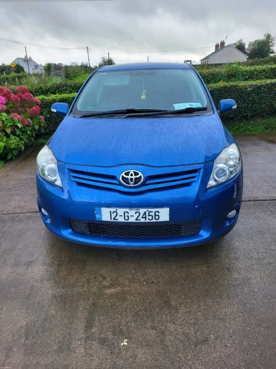 Auris - Image 1