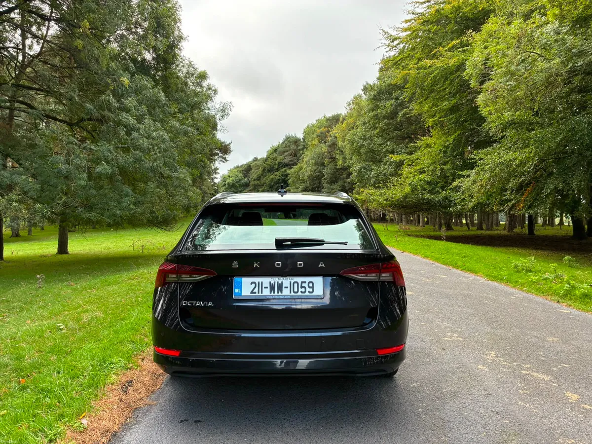 Skoda Octavia 2021 2.0 TDI DSG Combi - Image 6