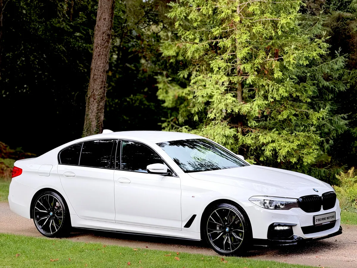 * ALPINE WHITE * 520D MSPORT - Image 6