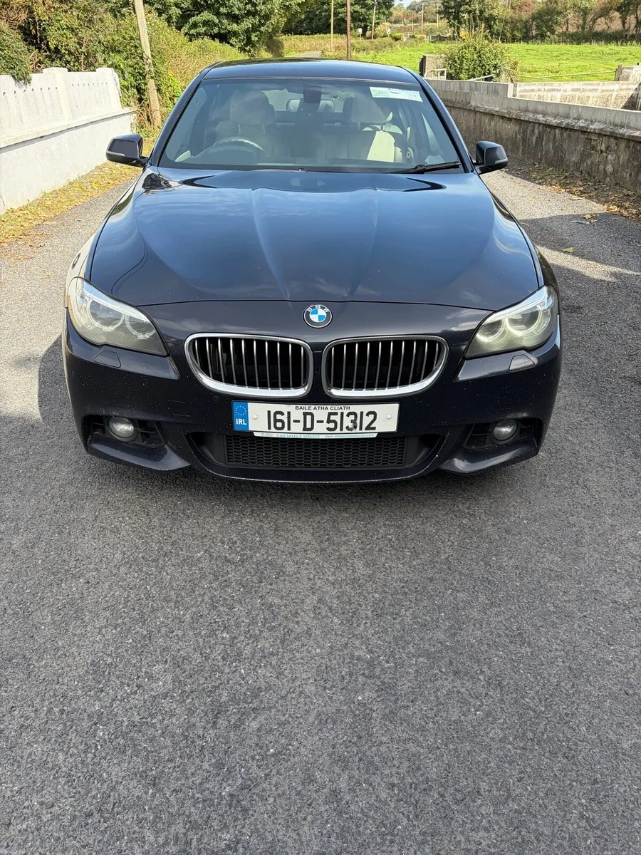 2016 BMW 520 D F10 MSPORT AUTO. - Image 2