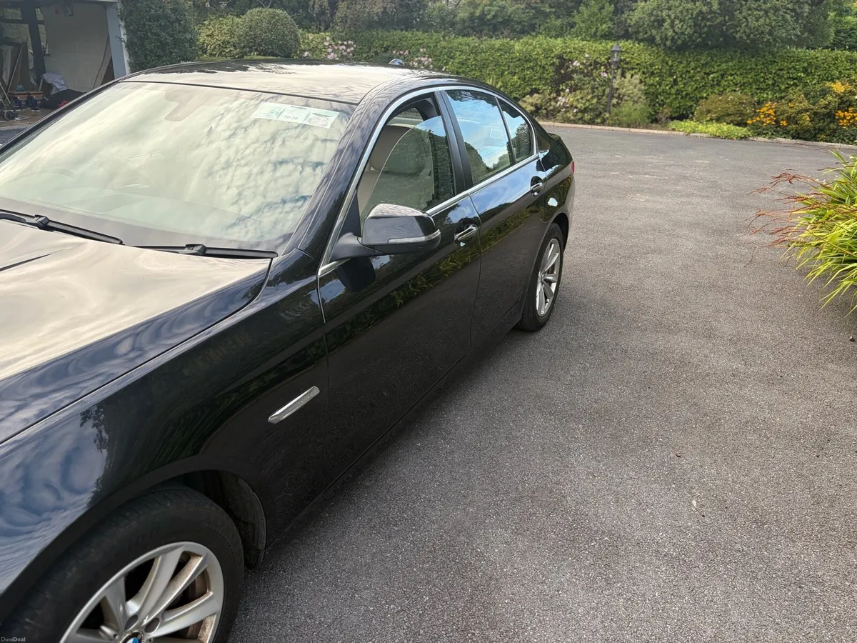 BMW 520d SE - Image 5