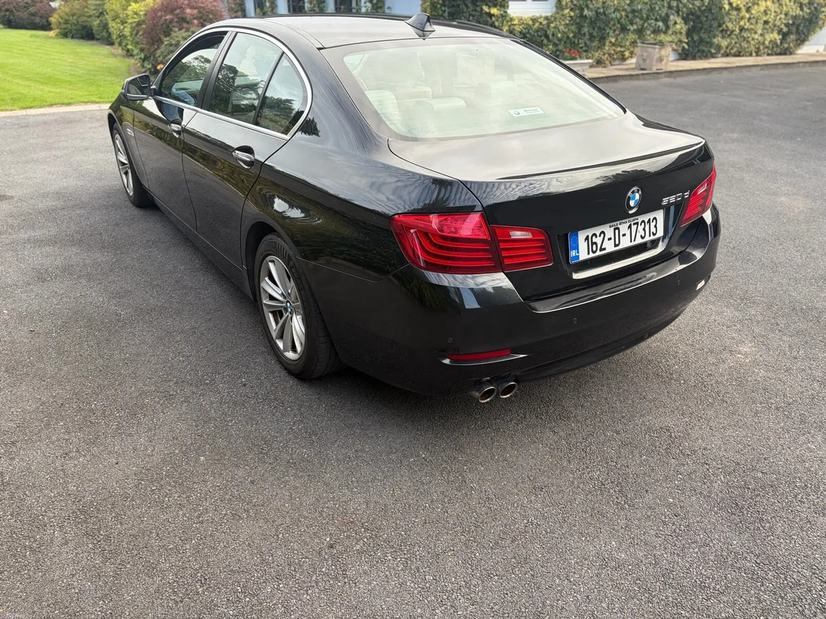 BMW 520d SE - Image 2