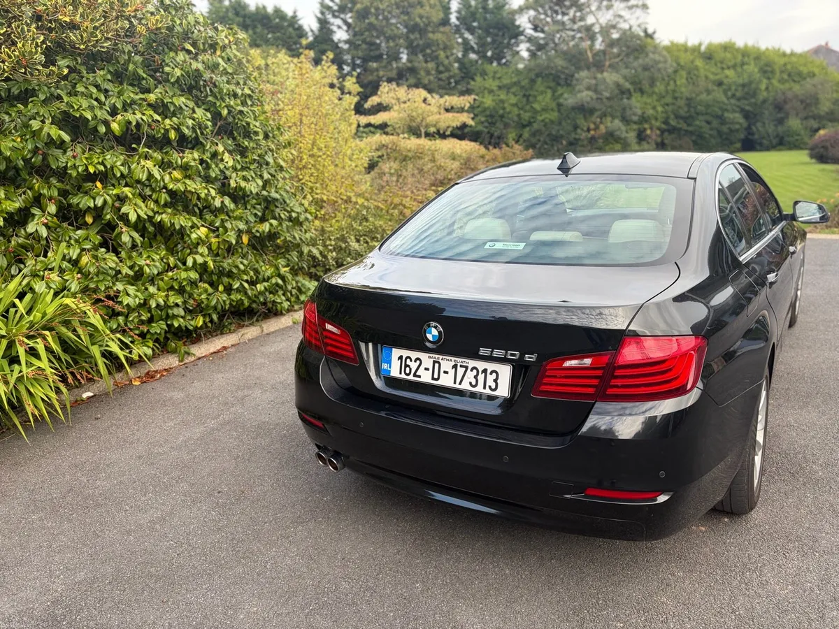 BMW 520d SE - Image 4