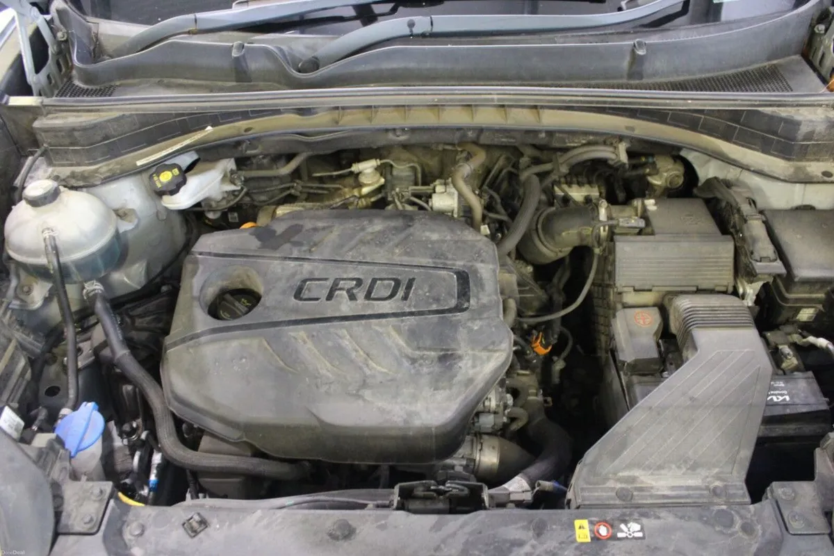 Kia Sportage 1.6 CRDI MILD HYBRID - TENDER 20 - Image 3