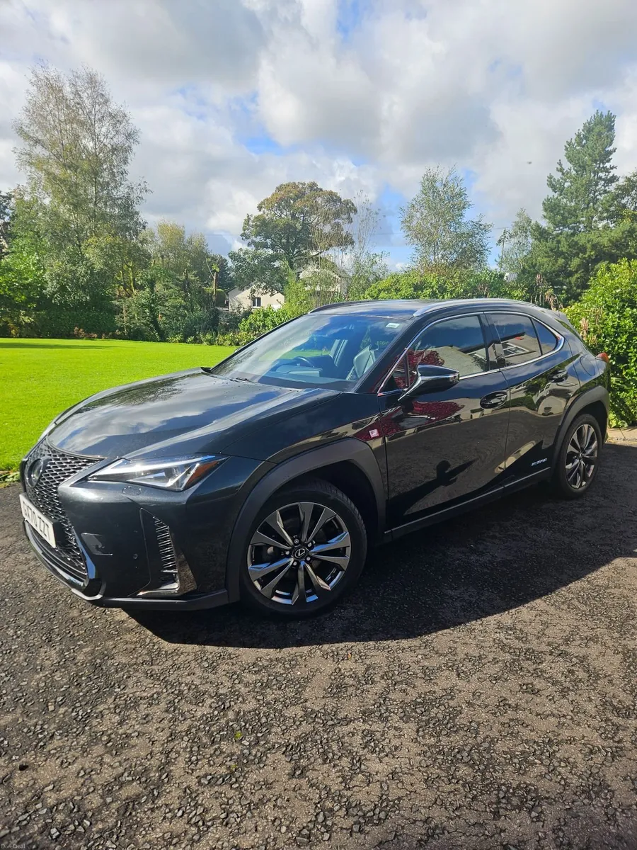 Lexus UX 250h F Sport - Image 5