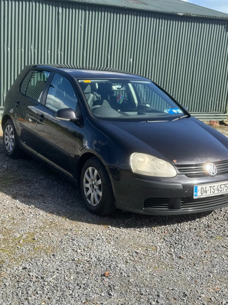 2004 Volkswagen Golf - Image 2