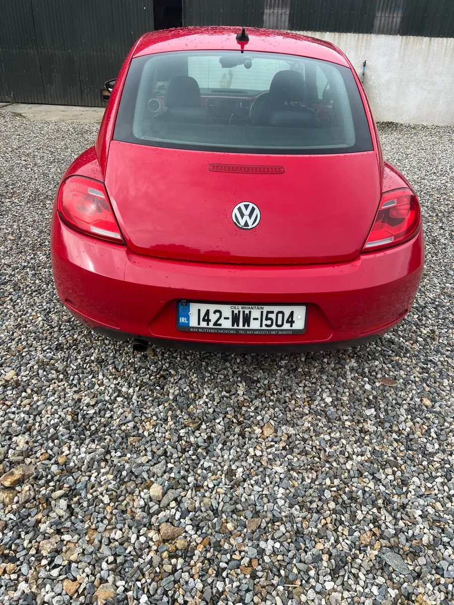 Volkswagen Beetle - Image 2