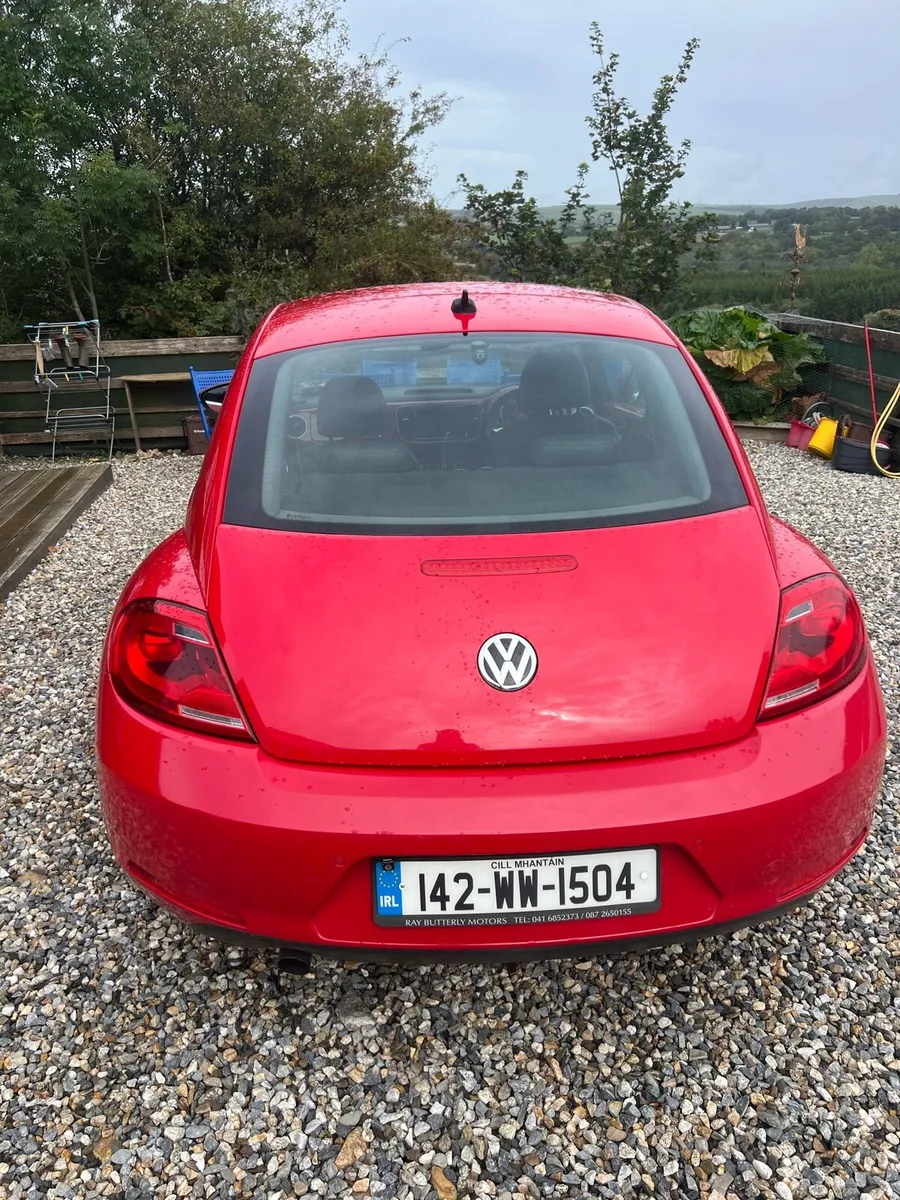 Volkswagen Beetle - Image 4