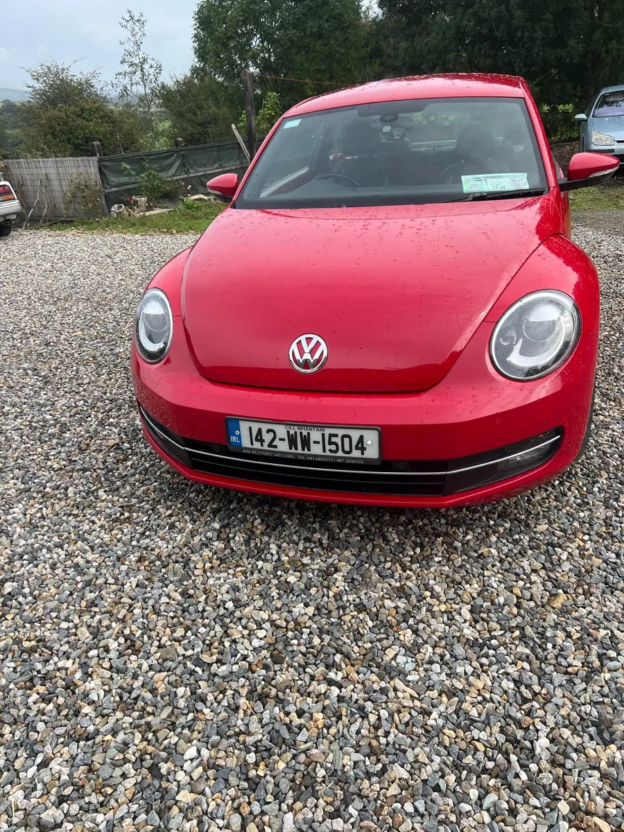 Volkswagen Beetle - Image 3