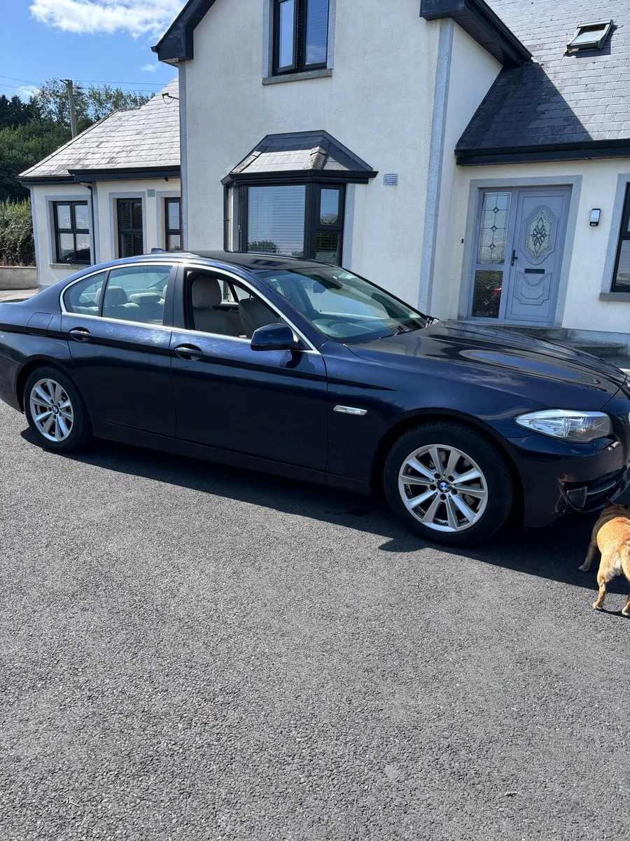 BMW 520d auto - Image 2
