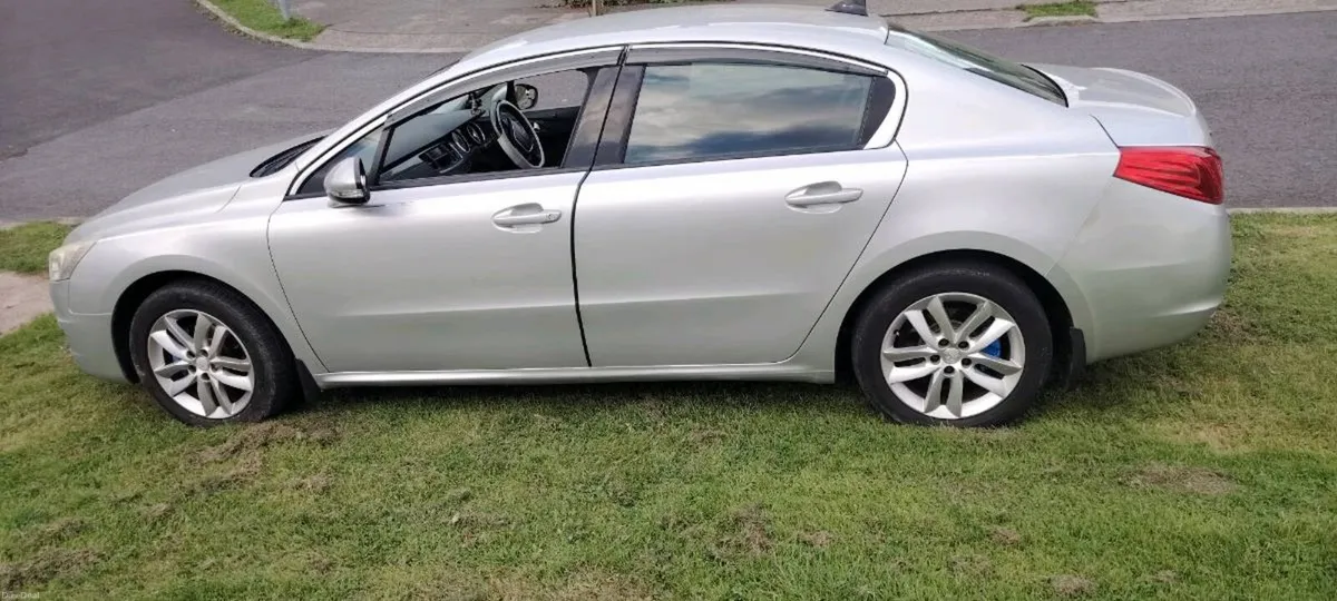 Cat Peugeot 508 - Image 3