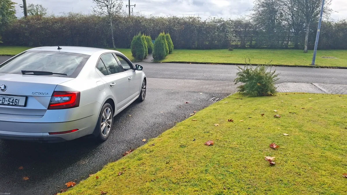 Skoda Octavia 2019 style - Image 5