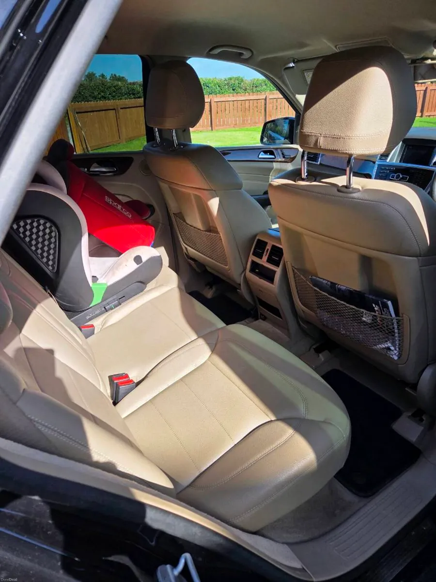 Mercedes ML 250 - Image 6