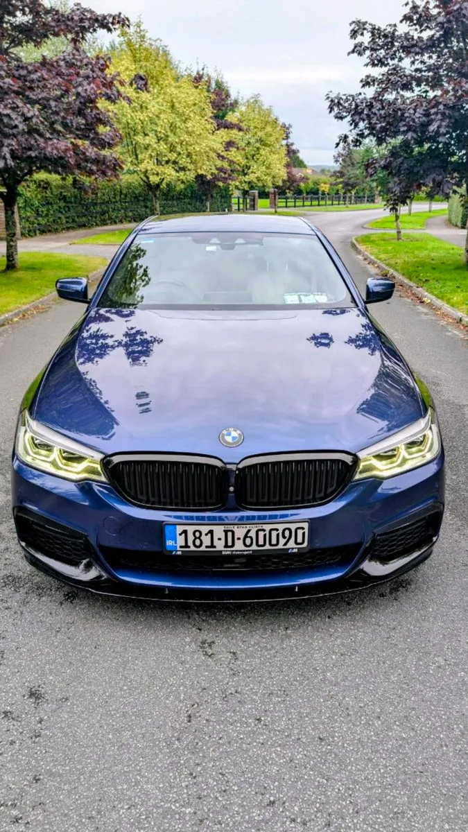 2018 BMW 5Series 520/523D - Image 2