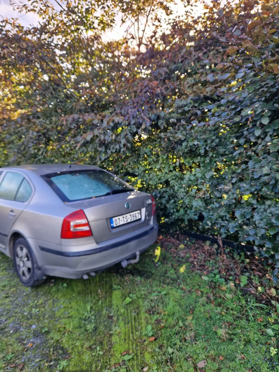 Skoda Octavia 2007 - Image 4