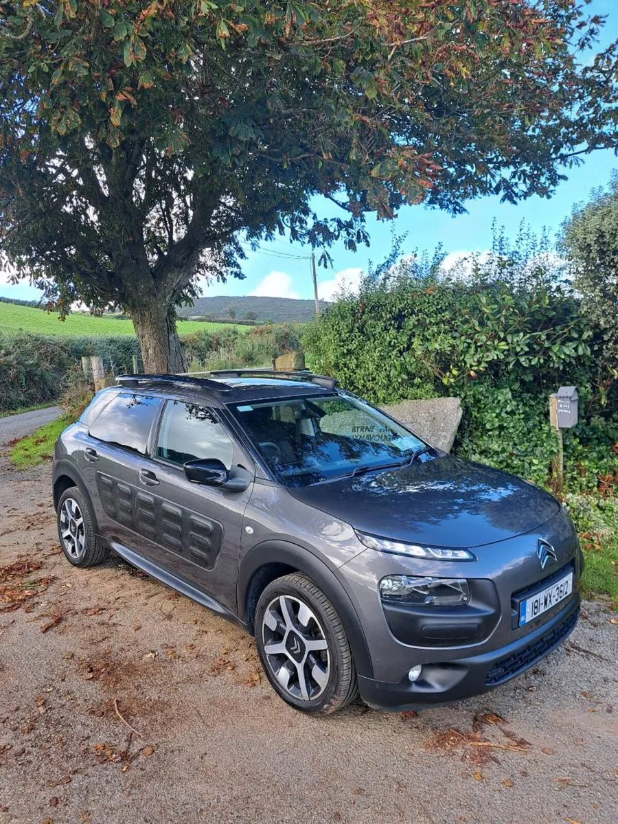 181 Citroën C4 Cactus Petrol - Image 1