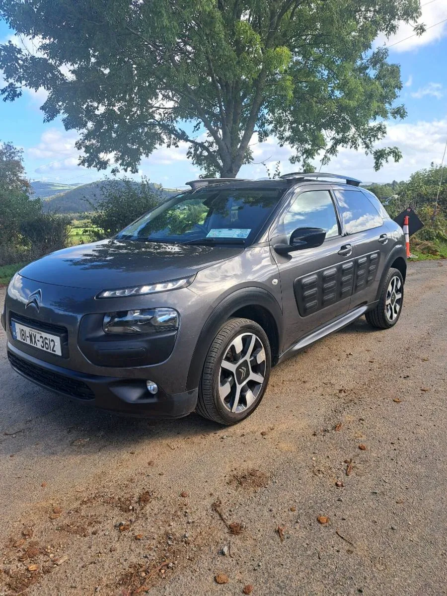 181 Citroën C4 Cactus Petrol - Image 5