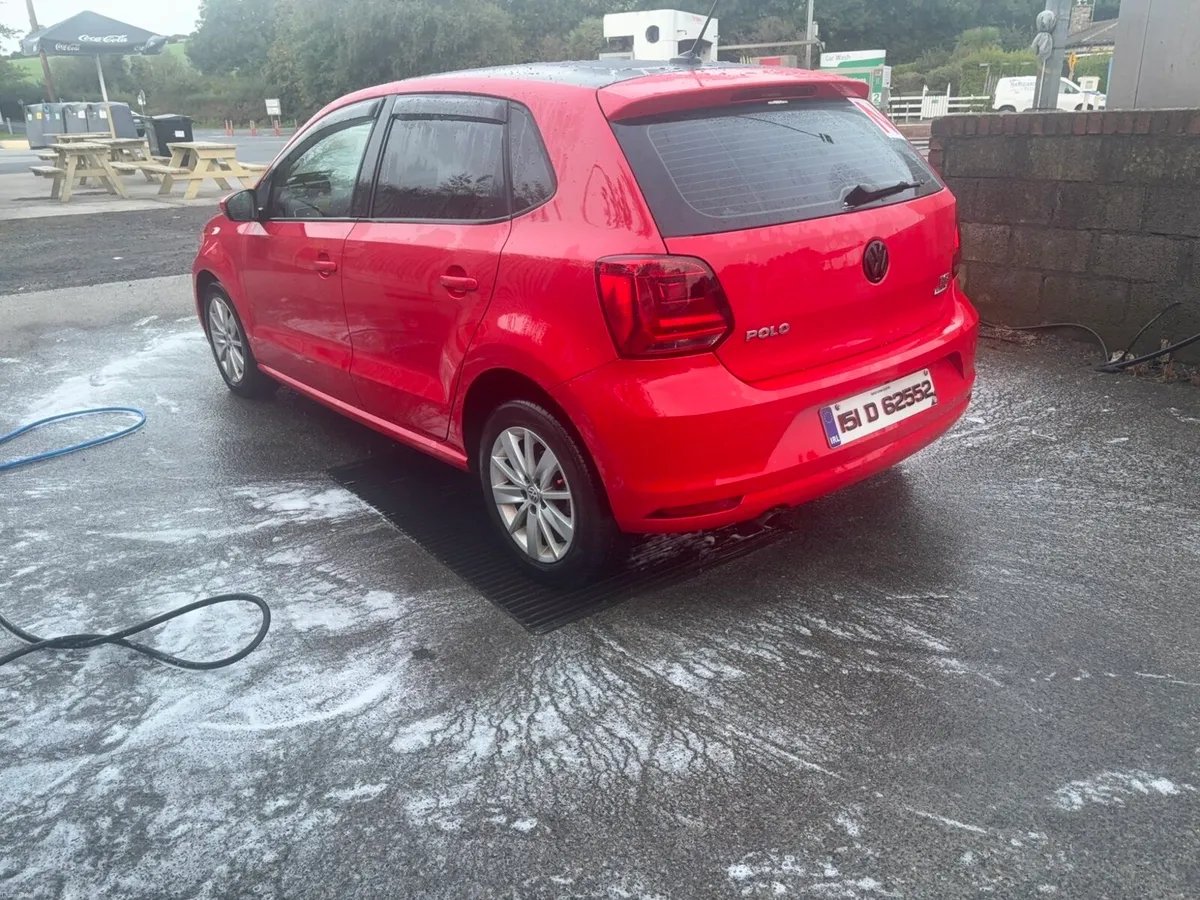 151 polo - Image 6
