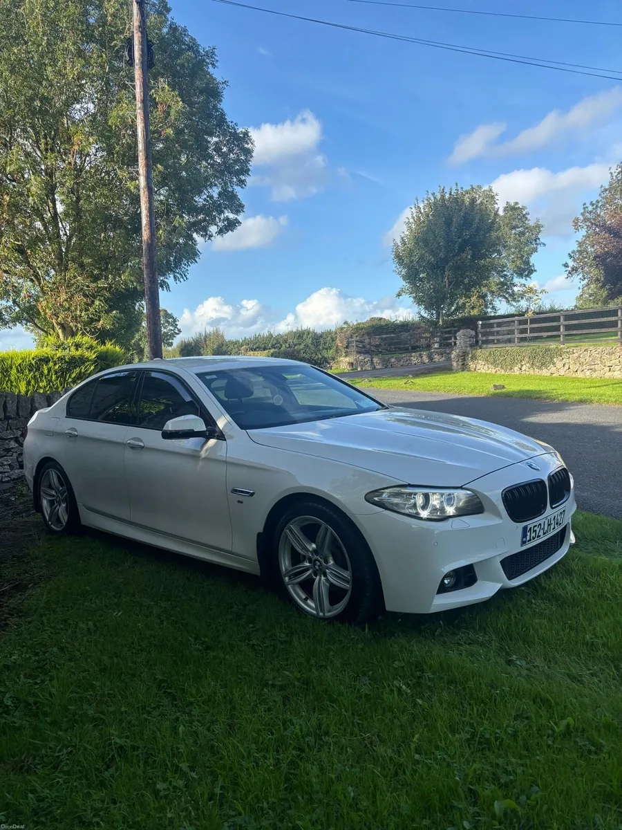 BMW 520d - Image 5