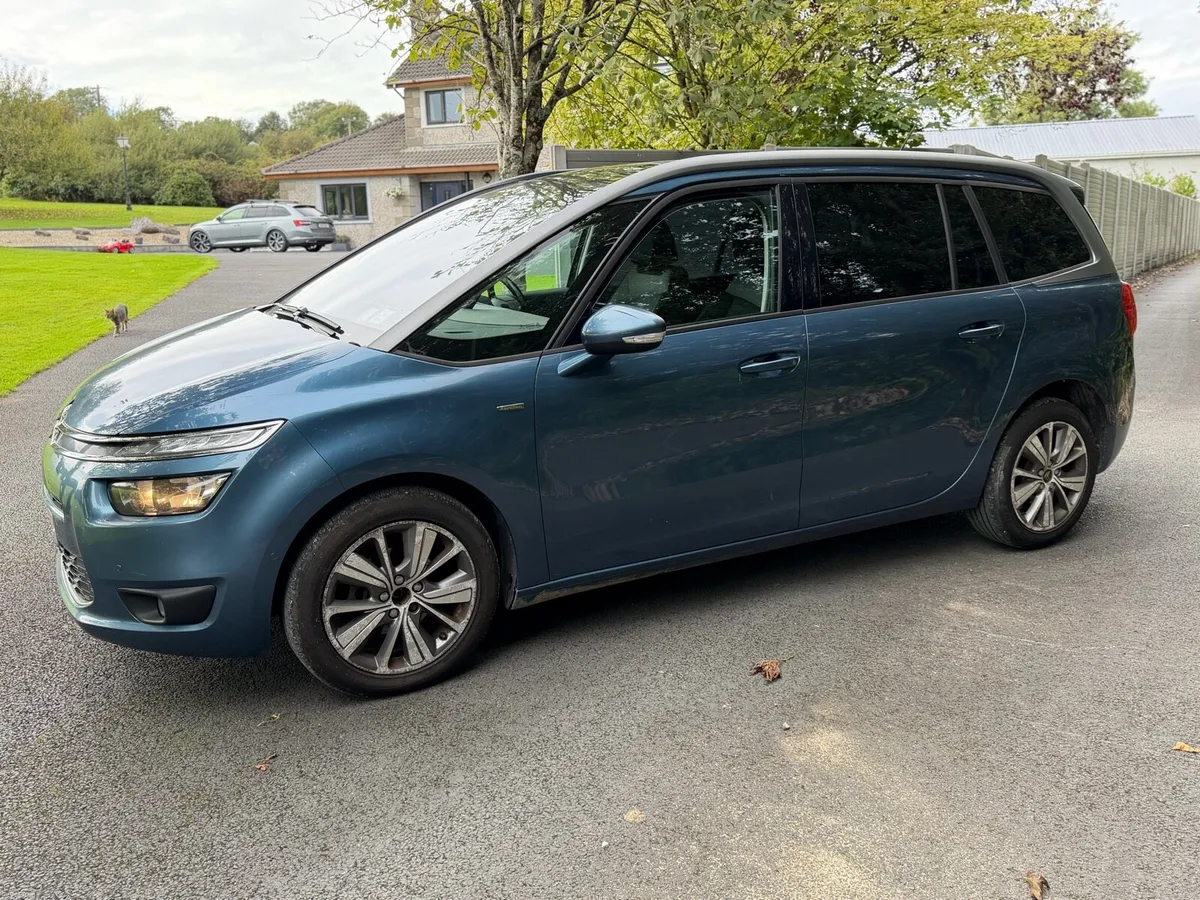7 seater Picasso - Image 4