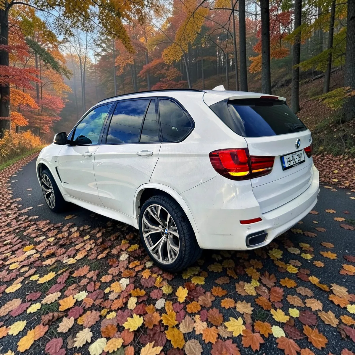 2019 BMW X5 X-Drive30d M Sport Auto - Image 2