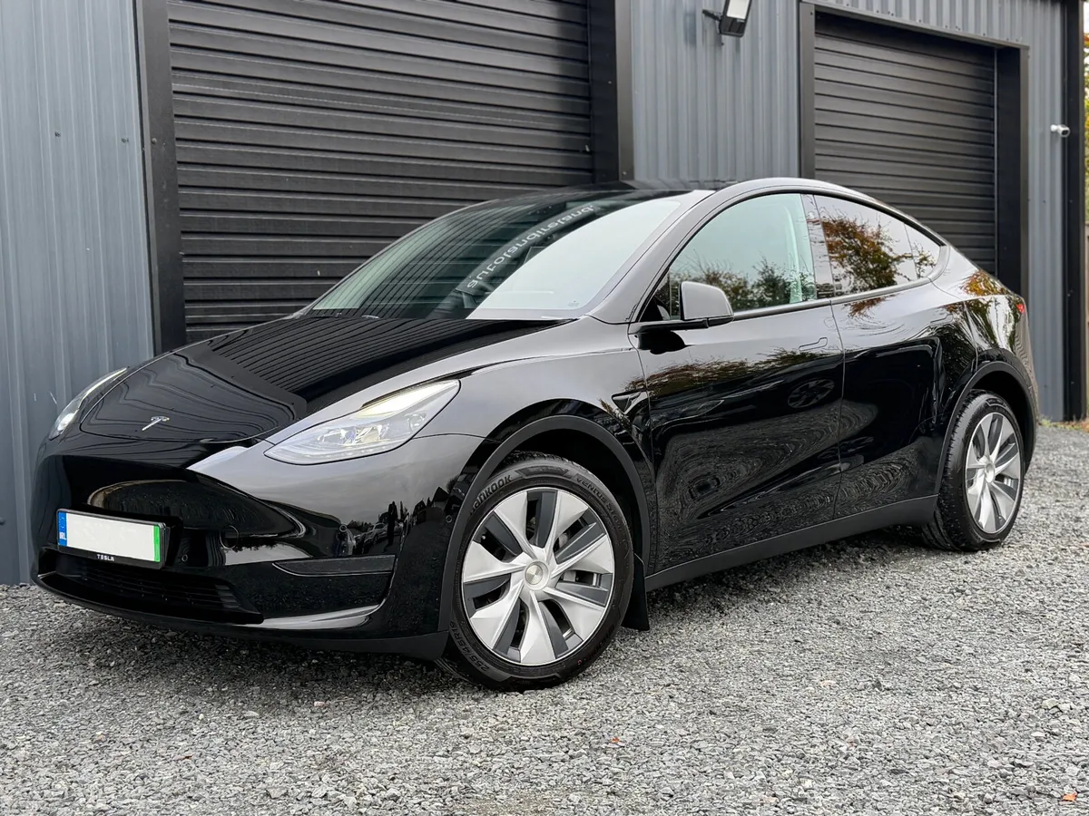 221 Tesla Model Y Dual Motor - Image 1