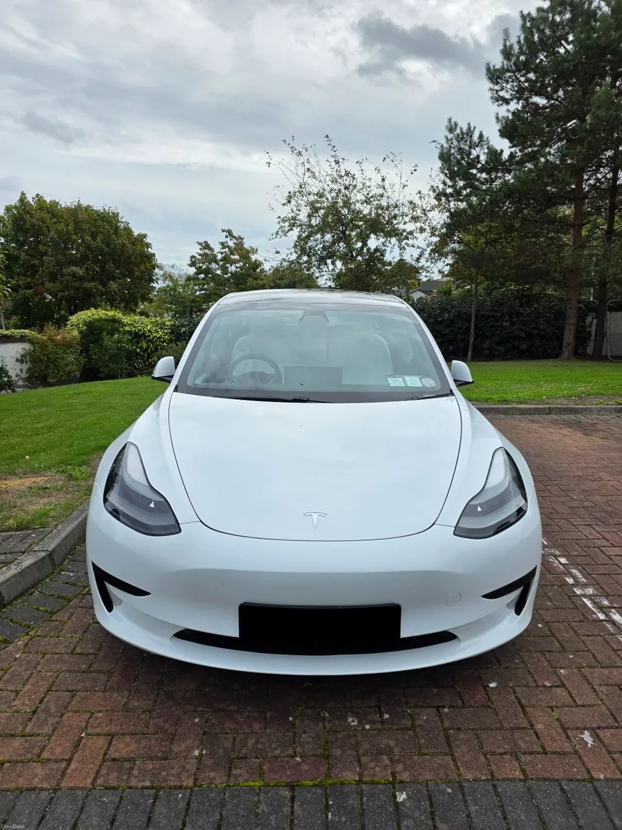 Tesla Model 3 2021 Standard Range Plus RWD - Image 3