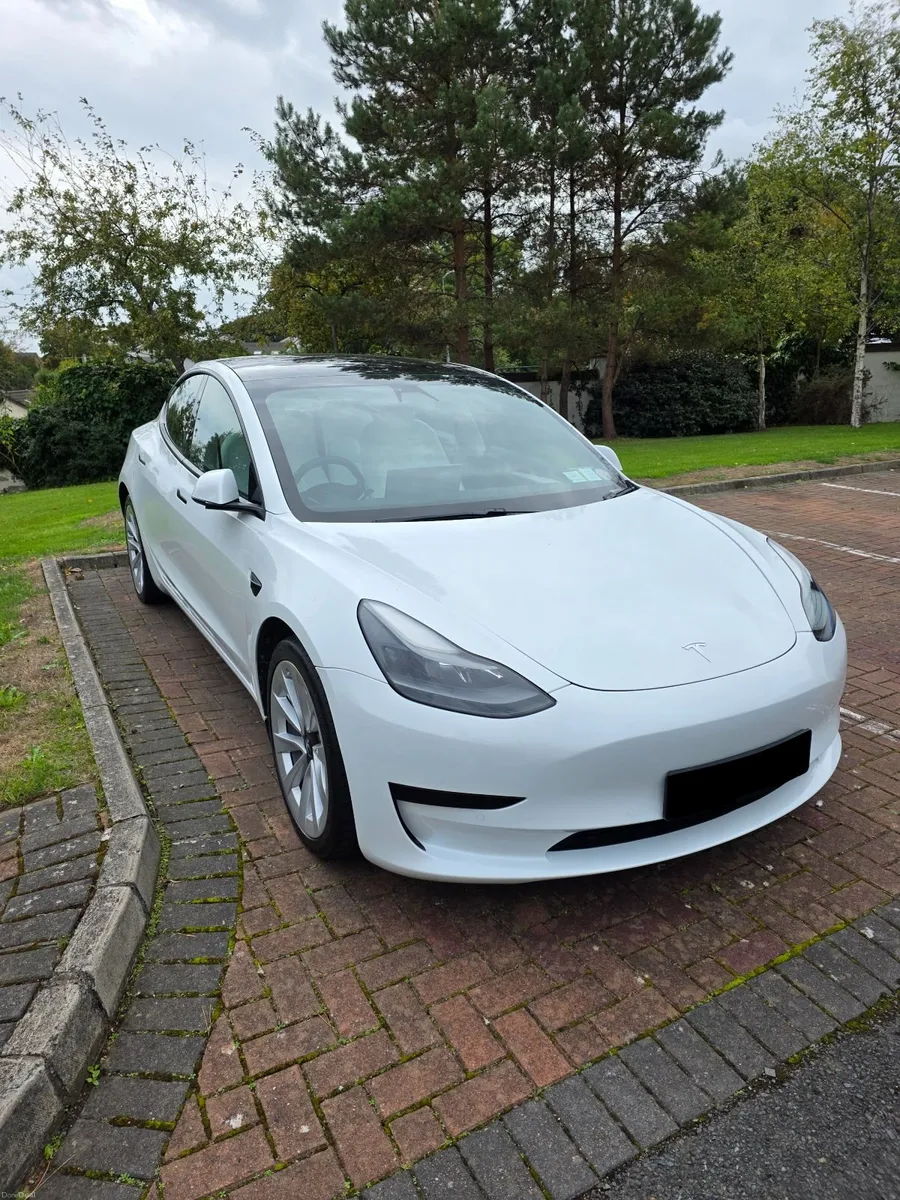 Tesla Model 3 2021 Standard Range Plus RWD - Image 6