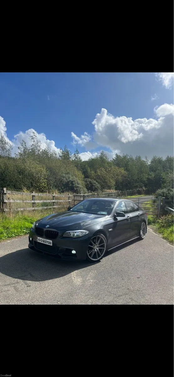 BMW F10 520D - Image 3