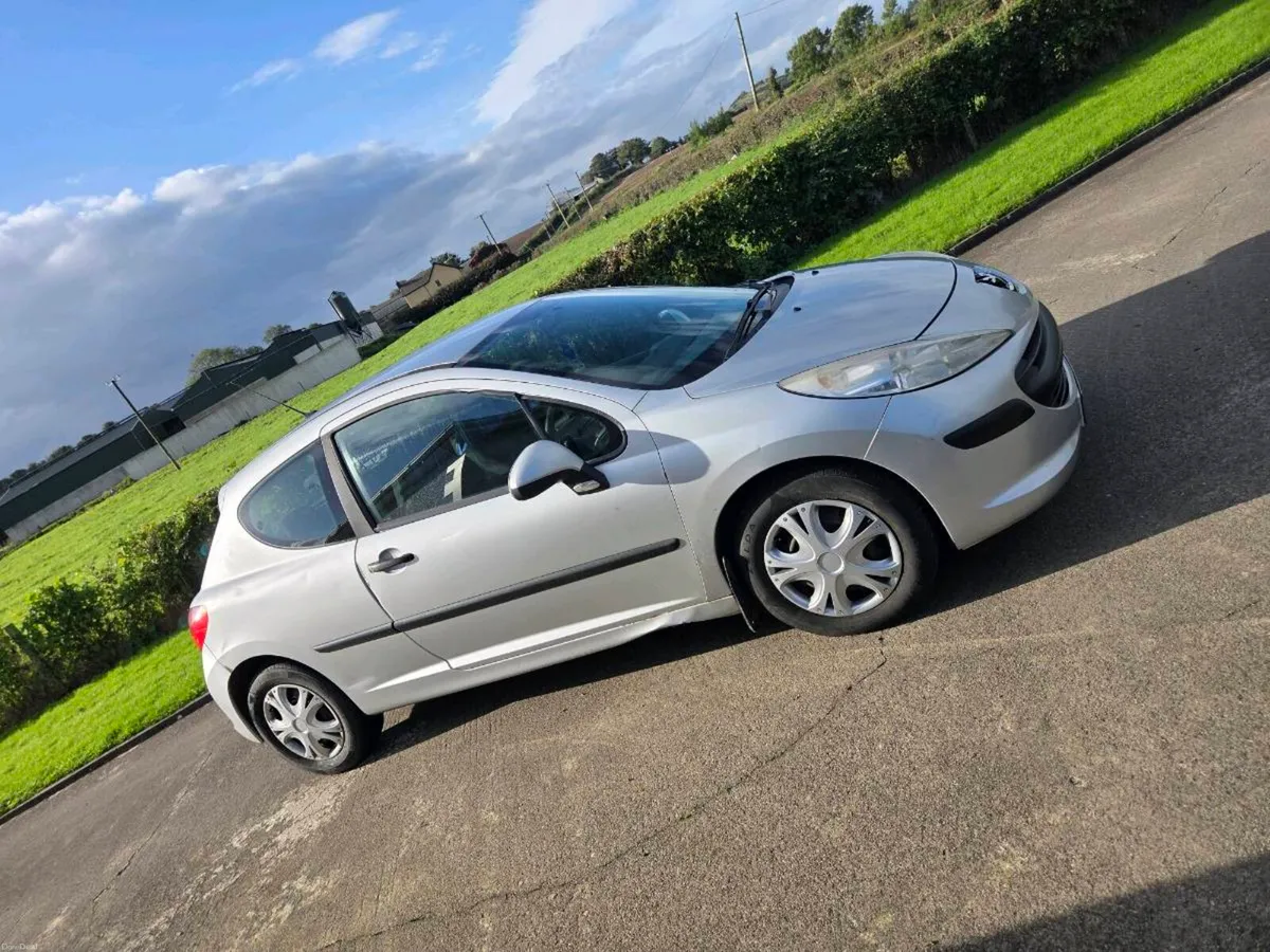 Peugeot 207 long nct - Image 3