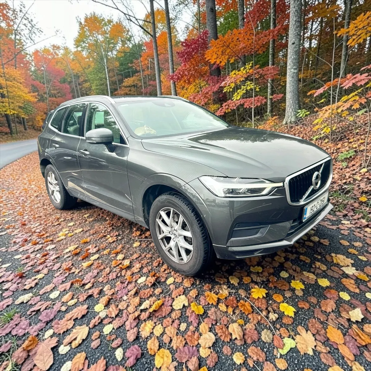 2019 Volvo XC60 D4 (190hp) FWD Momentum Automatic - Image 4
