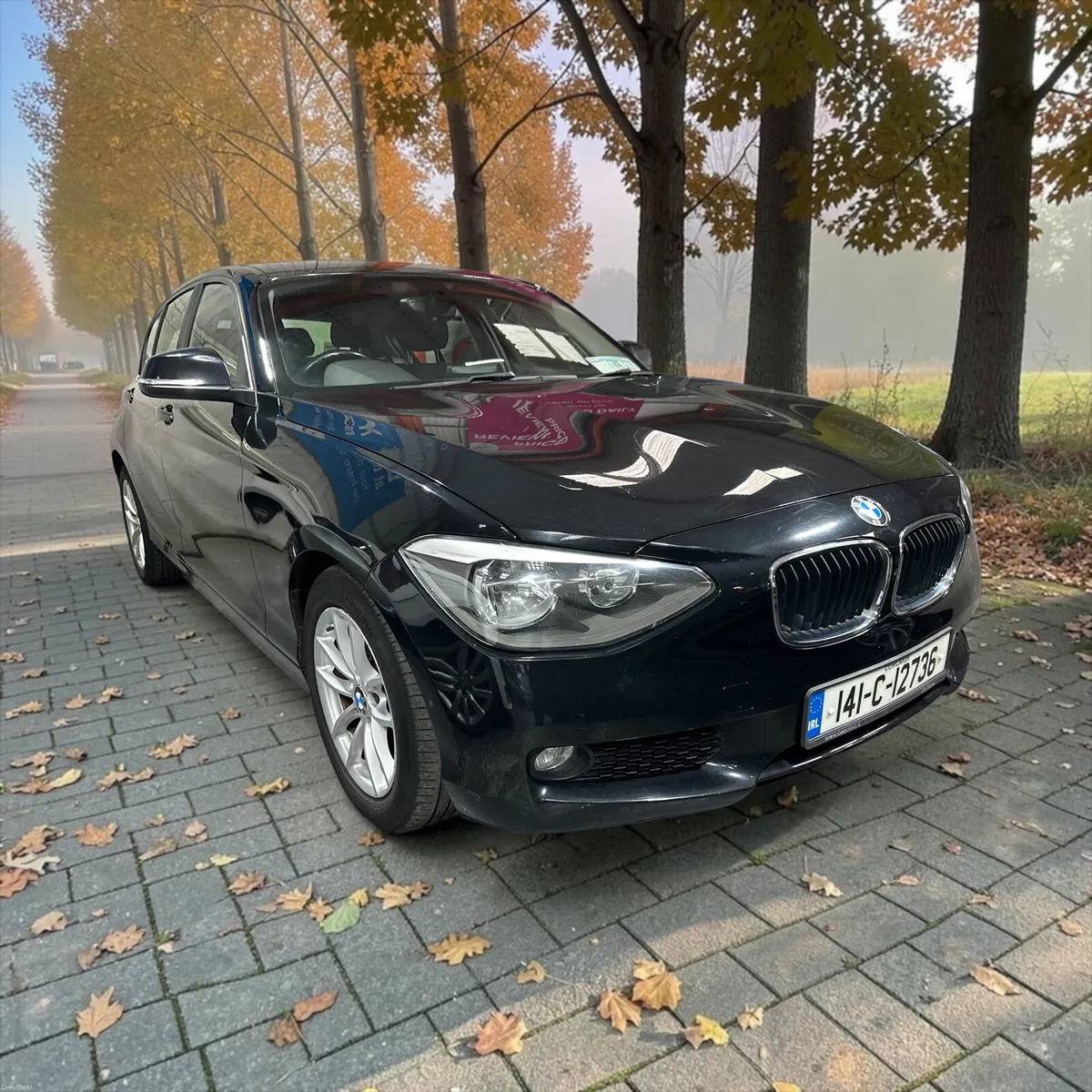 2014 BMW 1-Series 116d EFFICIENT DYNAMICS - Image 5