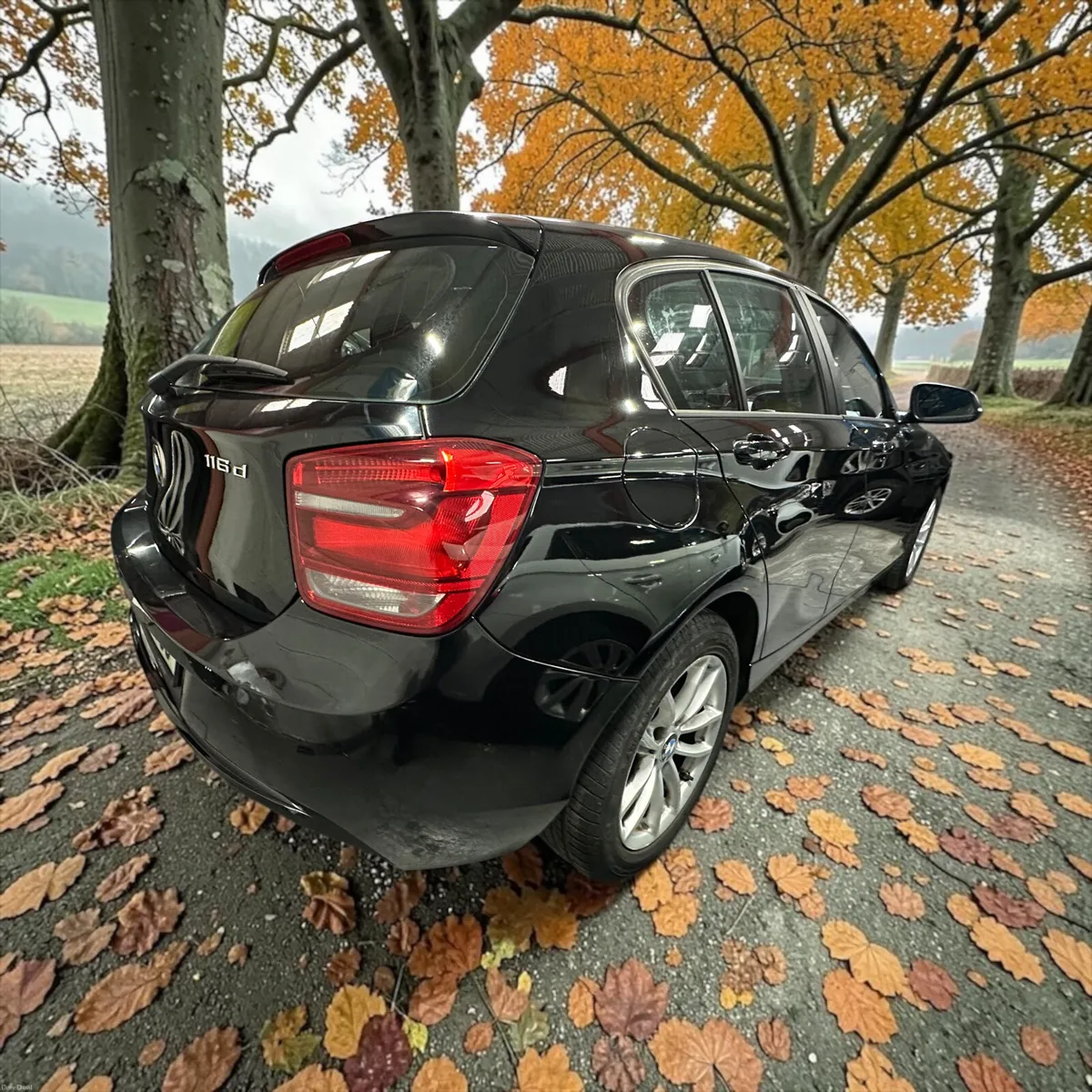 2014 BMW 1-Series 116d EFFICIENT DYNAMICS - Image 6