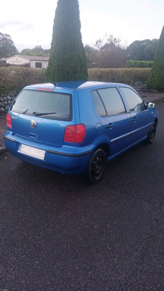 Volkswagen Polo - Image 2