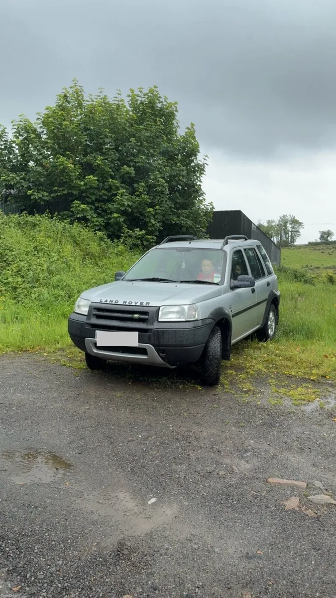 Freelander - Image 4