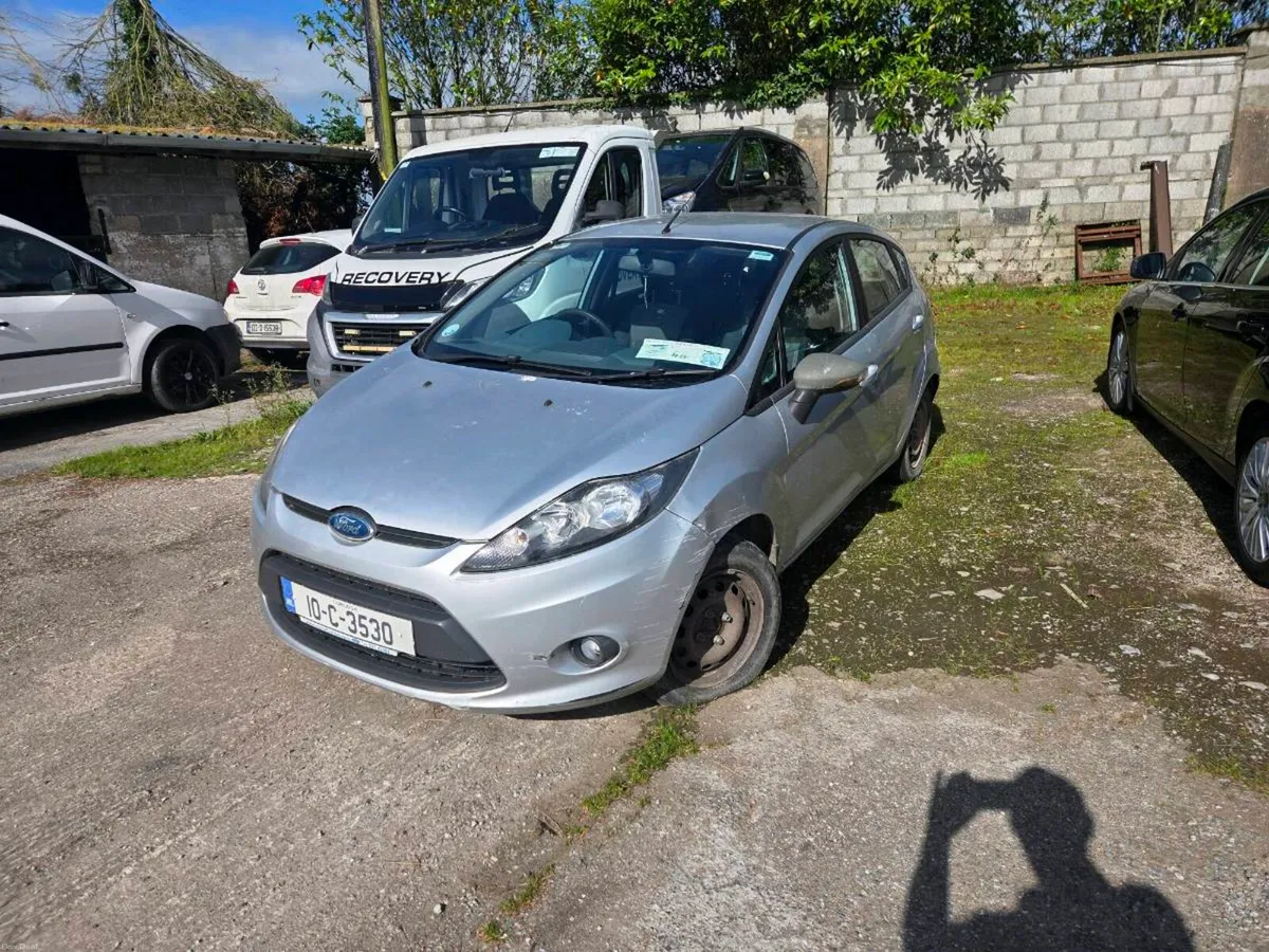 Fiesta - Image 2