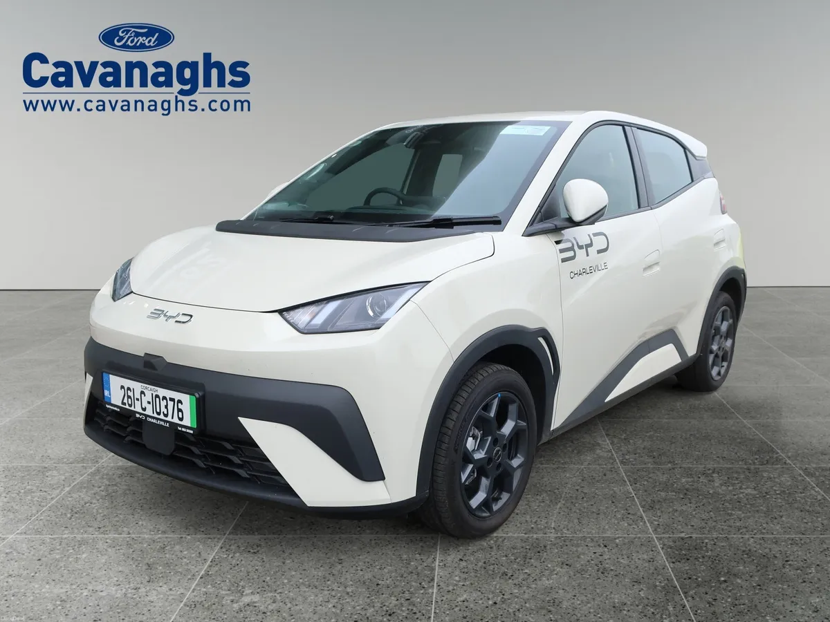 2026 BYD DOLPHIN SURF - Image 1