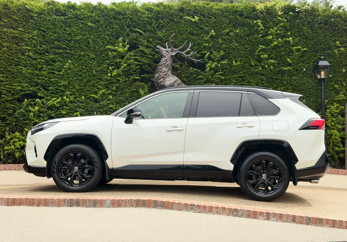 2022 Toyota Rav4 Sport CREWCAB No Vat - Image 5